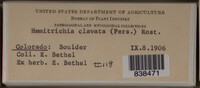 Image Associated With the Occurence
